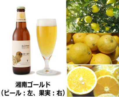 アジア最大のクラフトビールの祭典 最高評価を得たビール「湘南ゴールド」とは？ 神奈川県知事賞、国際ビール大賞金賞 ｗ受賞