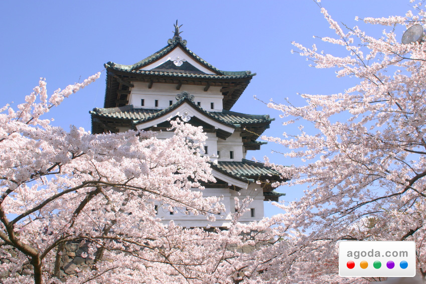 Agoda.comが桜満開のお花見シーズンに合わせて東京のホテルを大特価でご提供
