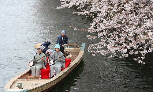大横川沿い約270本の桜を江戸風情溢れる和船で満喫<br>「第19回 お江戸深川さくらまつり」3月18日(土)より開催<br>ライブやマルシェなどイベントも盛りだくさん！夜間は22時までライトアップ